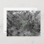 HET WEB VAN SPINNEN BRIEFKAART (Voorkant / Achterkant)