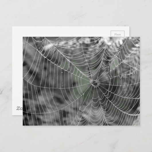 HET WEB VAN SPINNEN BRIEFKAART (Voorkant / Achterkant)