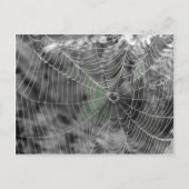 HET WEB VAN SPINNEN BRIEFKAART (Voorkant)