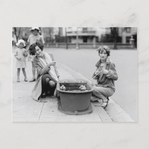 Het weghalen van de eenden voor een zwembad briefkaart