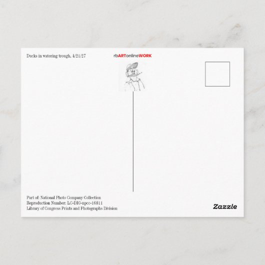 Het weghalen van de eenden voor een zwembad briefkaart (Achterkant)