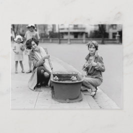 Het weghalen van de eenden voor een zwembad briefkaart