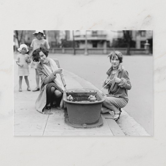 Het weghalen van de eenden voor een zwembad briefkaart (Voorkant)