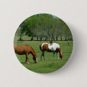 Het weiden de Scène van Paarden Ronde Button 5,7 Cm