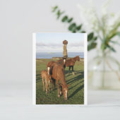 Het weiden van het paard in het Eiland van Pasen Feestdagenkaart (Staand voorkant)