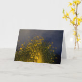 het wellspring kaart (Gele Bloem)