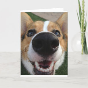 Het Welse Collectie van de Neus van de Hond Corgi Kaart