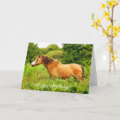 HET WELSE PONY VAN DE BERG KAART (Gele Bloem)