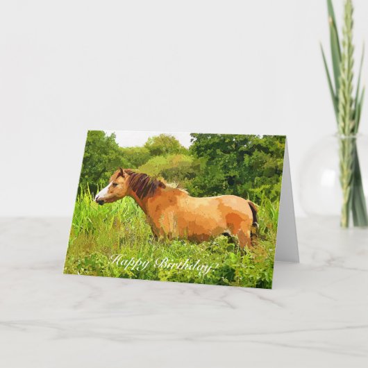 HET WELSE PONY VAN DE BERG KAART (Voorkant)