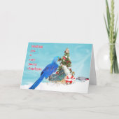 Het wensen van u feestdagen kaart (Voorkant)