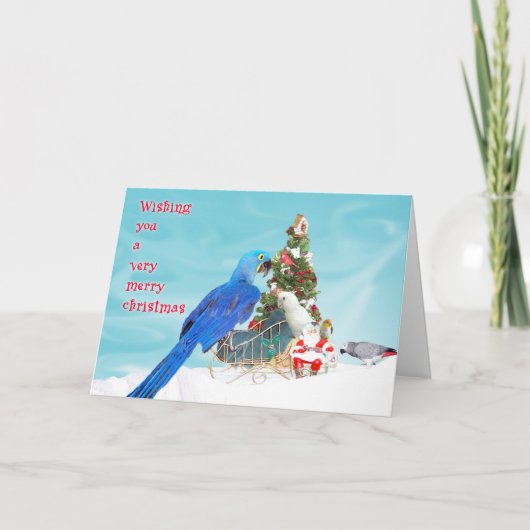 Het wensen van u feestdagen kaart (Voorkant)