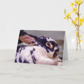 Het Wenskaart die van BunnyLuv Fiver kenmerken Kaart (Gele Bloem)