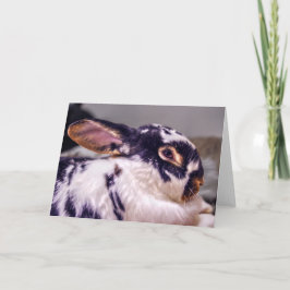 Het Wenskaart die van BunnyLuv Fiver kenmerken Kaart