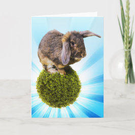 Het Wenskaart die van BunnyLuv Twink kenmerken Kaart