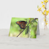 Het Wenskaart Moment vastleggen Kaart (Gele Bloem)