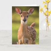 Het Wenskaart Nr 2 van Fawn Kaart (Gele Bloem)