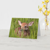 Het Wenskaart Nr 3 van Fawn Kaart (Gele Bloem)