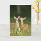 Het Wenskaart Nr 6 van Fawn Kaart (Gele Bloem)