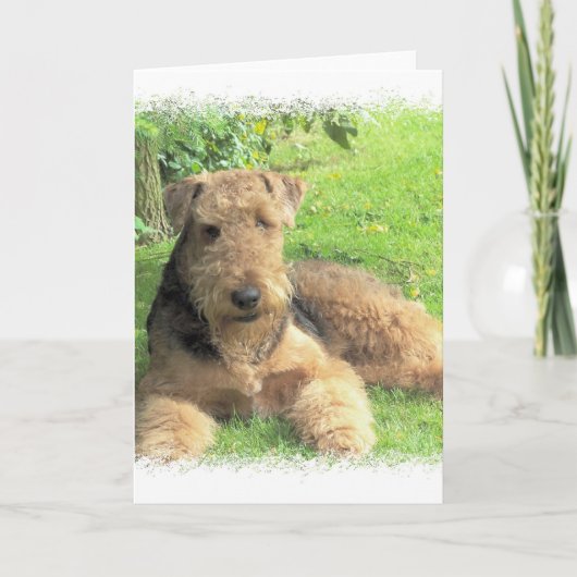Het Wenskaart van Airedale Terrier Kaart (Voorkant)