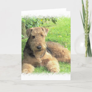 Het Wenskaart van Airedale Terrier Kaart