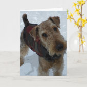 Het Wenskaart van Airedale Terrier Kaart (Gele Bloem)
