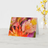 Het Wenskaart van Alstroemeria Kaart (Gele Bloem)