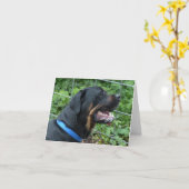 Het Wenskaart van "Apollo" van Rottweiler Kaart (Gele Bloem)