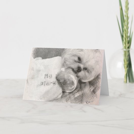 Het Wenskaart van Bella Kaart (Voorkant)