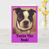 Het Wenskaart van Boston Terrier Kaart (Gele Bloem)