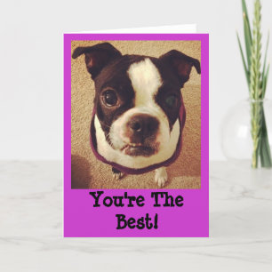 Het Wenskaart van Boston Terrier Kaart