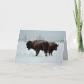 Het wenskaart van buffels kaart (Voorkant)