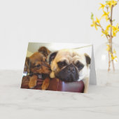 Het wenskaart van Bumblesnot: Ik ben hier als u me Kaart (Gele Bloem)