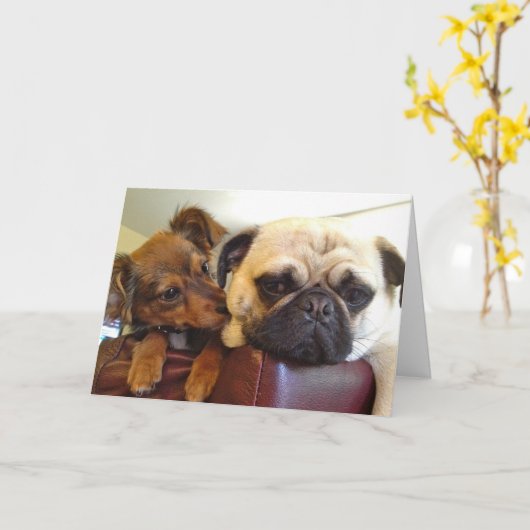 Het wenskaart van Bumblesnot: Ik ben hier als u me Kaart (Gele Bloem)