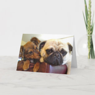 Het wenskaart van Bumblesnot: Ik ben hier als u me Kaart