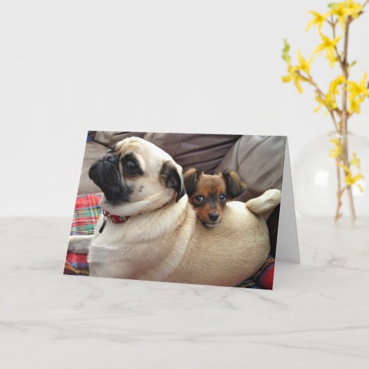 Het wenskaart van Bumblesnot: Ik heb uw rug! Kaart (Gele Bloem)