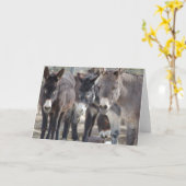 Het Wenskaart van Burro Kaart (Gele Bloem)