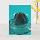 Het Wenskaart van Californië "van de Zeeleeuw" Kaart (Gele Bloem)