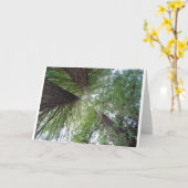 Het Wenskaart van Californische sequoia's Kaart (Gele Bloem)