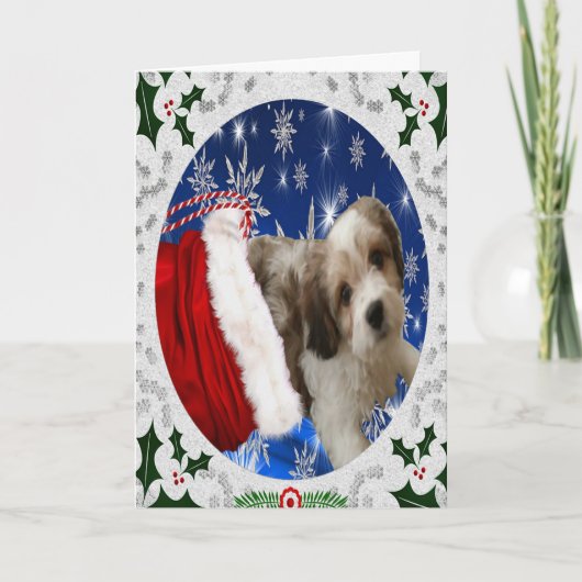 Het Wenskaart van Cavachon, Kerstmis Feestdagen Kaart (Voorkant)