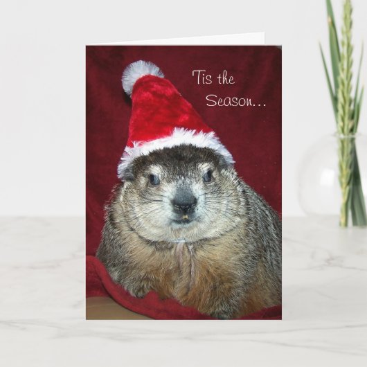Het Wenskaart van Clara Holiday van Groundhog Feestdagen Kaart (Voorkant)
