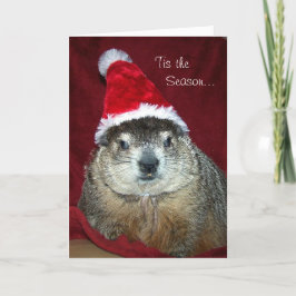 Het Wenskaart van Clara Holiday van Groundhog Feestdagen Kaart