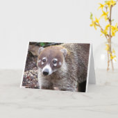 Het Wenskaart van Coati Kaart (Gele Bloem)