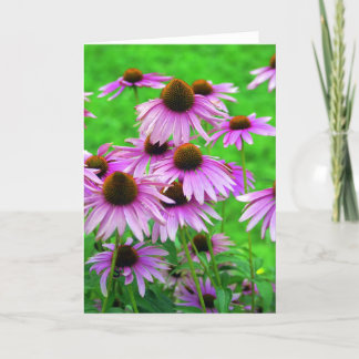 Het Wenskaart van Coneflower Kaart
