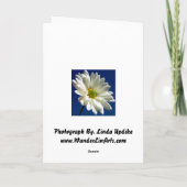 Het Wenskaart van Daisy Feestdagen Kaart (Achterkant)