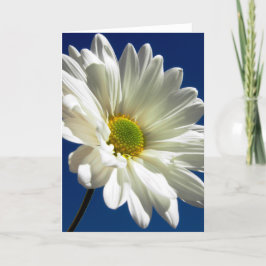 Het Wenskaart van Daisy Feestdagen Kaart