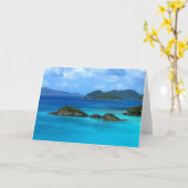 Het Wenskaart van de Baai van de boomstam Kaart (Gele Bloem)