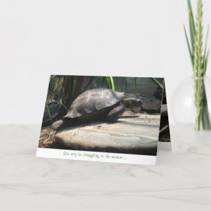 het wenskaart van de babyschildpad (aanmoediging) kaart