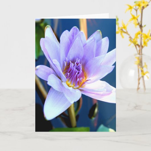 Het wenskaart van de bloem kaart (Gele Bloem)