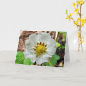 Het Wenskaart van de Bloem van de aardbei, Spatie Kaart (Gele Bloem)