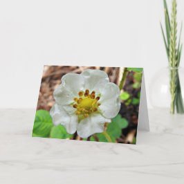 Het Wenskaart van de Bloem van de aardbei, Spatie Kaart